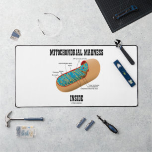 Folie mitochondriale dans la biologie de Mitochond