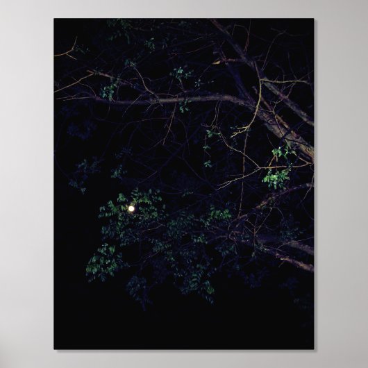 FOLIE PRINT KUNST EN DESIGN STIJLEN (Voorkant)