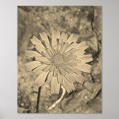 FOLIE PRINT POSTER KUNST EN DESIGN (Voorkant)