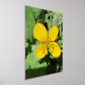 FOLIE PRINT POSTER KUNST EN DESIGN (Laagn)