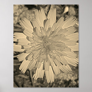 FOLIE PRINT POSTER KUNST EN ONTWERP 