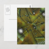 Foliole Gust Briefkaart (Voorkant / Achterkant)