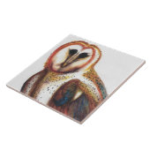 Folk Art Barn Owl Tegel, door David I Stromberg Tegeltje (Zijkant)