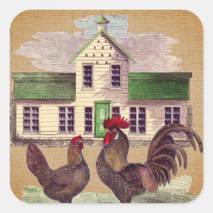 Folk Art Farmyard Kippen Rustiek Ontwerp Vierkante Sticker