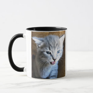 Folle de chats. Humour félin. Mug à café sur les c