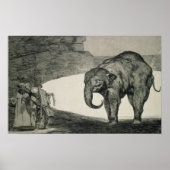 Folly of Beasts Poster (Voorkant)