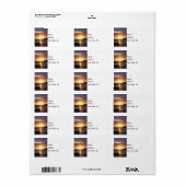 Folly River Sunrays Adres label (Full Sheet)