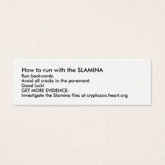 Fonctionnement avec le SLAMINA