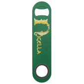 Fond décoratif du 16e siècle Celtic N (Devant)