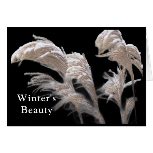 FOND PENSÉES DE VOUS CETTE SAISON DE VACANCES/ NEI (Devant Horizontal)