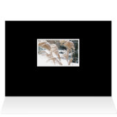 FOND PENSÉES DE VOUS CETTE SAISON DE VACANCES/ NEI (Intérieur Horizontal (haut))