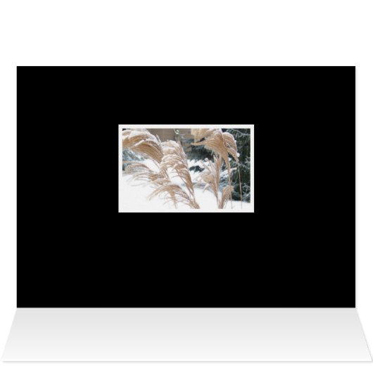 FOND PENSÉES DE VOUS CETTE SAISON DE VACANCES/ NEI (Intérieur Horizontal (haut))