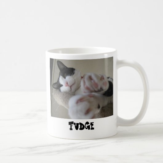 Fondant de tasse d'ermitage (Droite)
