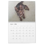 Fondez votre calendrier de Hubble 2019 de Meow de (Mar 2026)