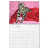 Fondez votre calendrier de Hubble 2019 de Meow de (Feb 2026)