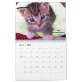 Fondez votre coeur - le calendrier 2016 de chaton (Mar 2026)