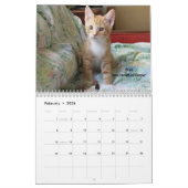 Fondez votre coeur - le calendrier 2016 de chaton (Feb 2026)