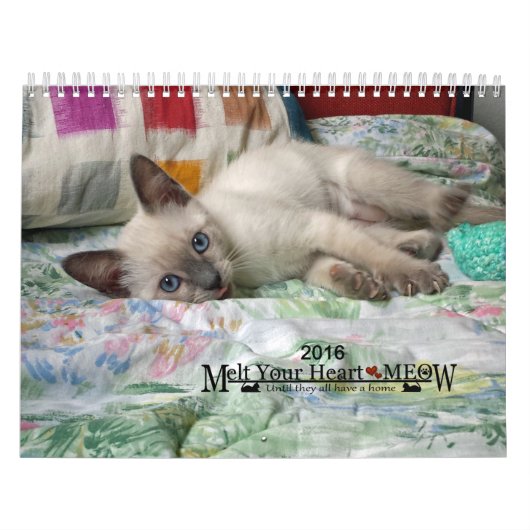 Fondez votre coeur - le calendrier 2016 de chaton (Protection)