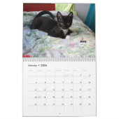 Fondez votre coeur - le calendrier 2016 de chaton (Jan 2026)