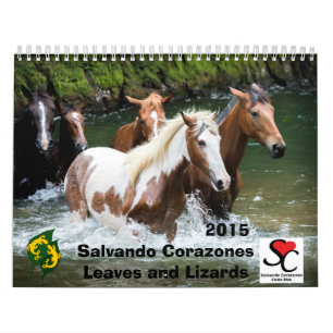 Fonds - calendrier Salvando Corazones 2015