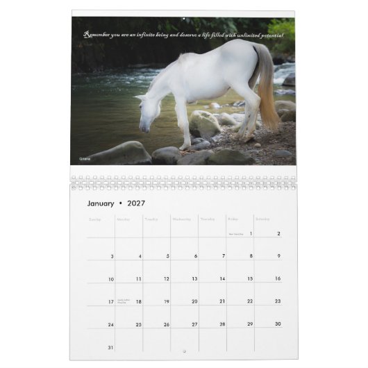 Fonds - calendrier Salvando Corazones 2015 (Jan 2027)