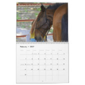 Fonds - calendrier Salvando Corazones 2015 (Feb 2027)