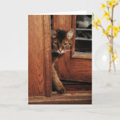 Fonkeling in de Kaart van de Kat van de (Gele Bloem)