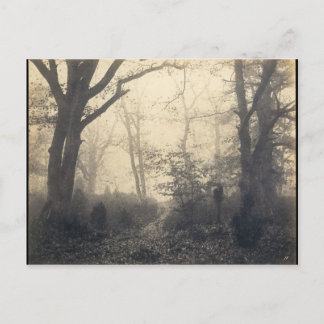 Fontainebleau Forest Briefkaart