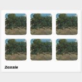 Fontainebleau Oak Trees Vierkante Sticker (Vel)