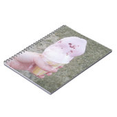 Fonte de glace dans le Carnet manuel (Côté gauche)