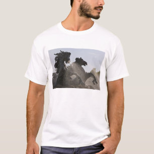 Fontein, Monument des Girondins, Bordeaux, T-shirt