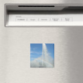 fontein op het punt magneet (Insitu (Vaatwasser))