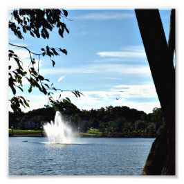fontein op Lake Mirror op een Foto Afdruk