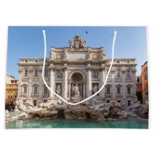 Fontein van Trevi in de vroege ochtend - Rome, Ita Groot Cadeauzakje