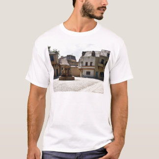 fonteinen in de oude stad t-shirt