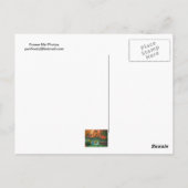 Foot Bridge in Herfst Briefkaart (Achterkant)