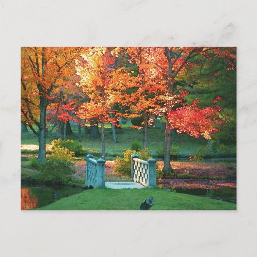 Foot Bridge in Herfst Briefkaart (Voorkant)