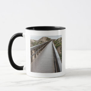 Foot Bridge in Oso Flaco Lake State Park Mok