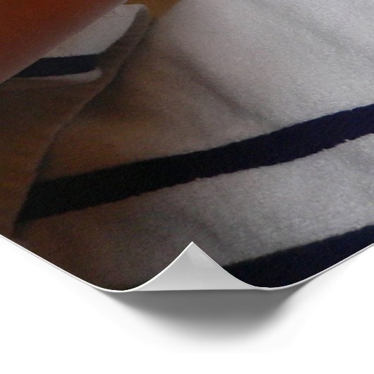 Foot Massage Poster (Hoek)