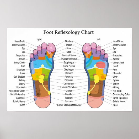 Foot Reflexology 18x12" Poster (Voorkant)