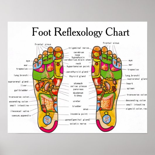 Foot Reflexology - 20x16" Poster (Voorkant)