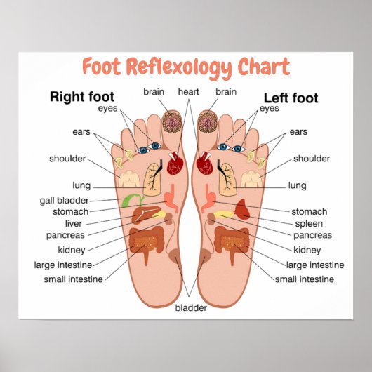 Foot Reflexology 20x16" Poster (Voorkant)