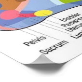 Foot Reflexology 22x29" Poster (Hoek)