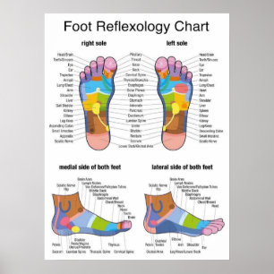 Foot Reflexology 22x29" Poster
