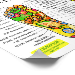 Foot Reflexology Chart 10x7" Poster
