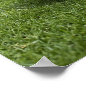 FOOTBALL 2 POSTER (Hoek)