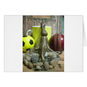 Football Cricket spectateur sports