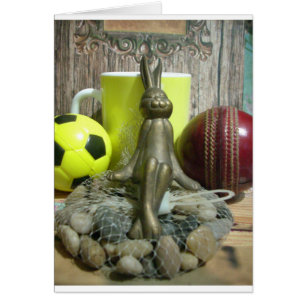 Football Cricket spectateur sports