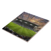 Football game, Forsyth Barr Stadium, Dunedin Tegeltje (Zijkant)