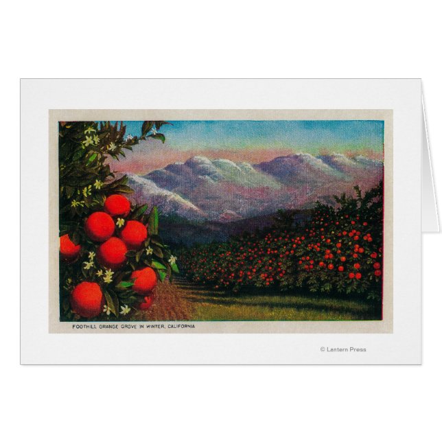 Foothill Orange Grove in the WinterState (Devant horizontal)